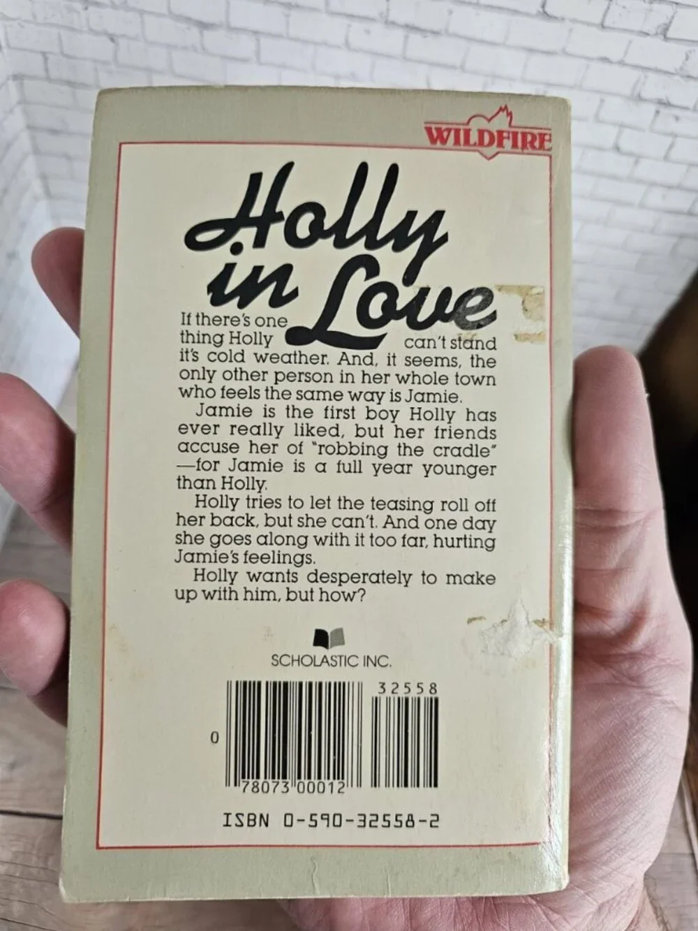 1983 Holly in Love Caroline B Cooney Wildfire YA Romance First Printing